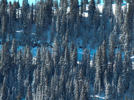 2013 Feb-Park City Utah Canyons